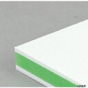 三洋化成 CKG-20M サンヨー カラー抗菌業務用まな板 CKG-20M