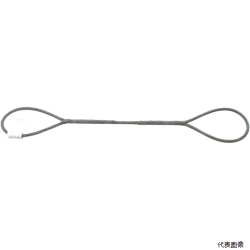 【特長】 ●物を吊り上げ・固定する際に使用します。（1本吊厳禁） ●土木・建築現場で一般的に使用されているワイヤです。 ●JIS規格適合品ワイヤーロープ使用 【用途】 ●土木、建築工事などでの荷物の吊り上げ・荷物の固定 【仕様】 ●安全使用荷重2本垂直吊り(t)：1.35 ●全長(m)：1 ●スリング径(mm)：9 ●アイ寸法(mm)：200×100 ●長さ(m)：1 ●ワイヤ径(mm)：9 ●219条段落とし ●フレミッシュ加工 ●JIS規格(JISG3525) 【材質／仕上】 ●ロープ：炭素鋼 【注意】 ●1本吊りでは使用しないでください。 【入数】 ●1本 他のサイズはこちら 在庫のない商品は検索に表示されない場合がございます　