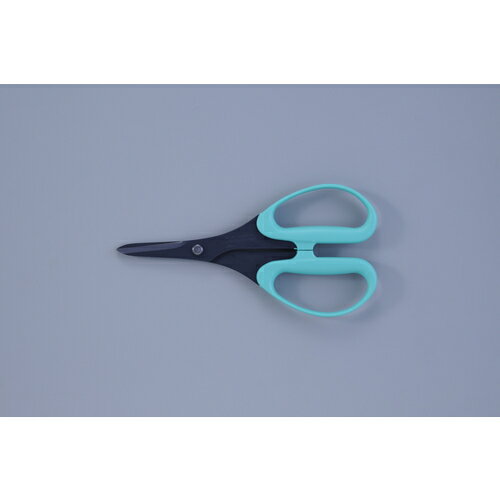 ڥץ꡼ӿʪ 15133 ALLEX ۥӡѤϤ եǡܥ