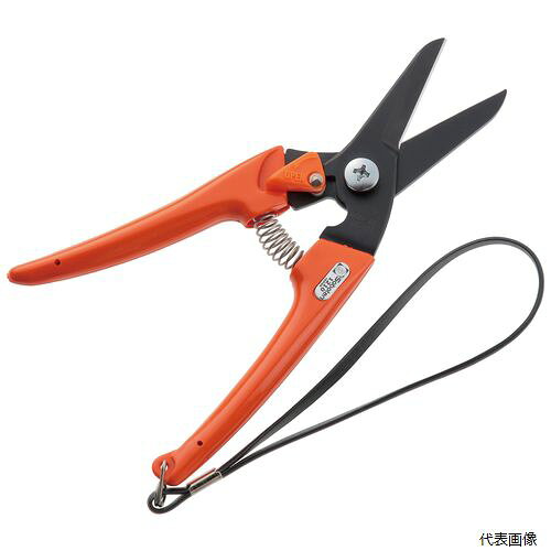 【仕様】 ●生木切断能力：5mm ●刃物鋼 ●サビやヤニが付きにくいフッ素加工済 【特長】 切れ味は大型鋏クラス！剪定ばさみ180mm ●大型鋏に負けない、シャープな切れ味。 【カラー】 ●オレンジ 【サイズ】 ●180mm 【入数】 ●1ヶ -- 他のサイズはこちら -- 在庫のない商品は検索に表示されない場合がございます
