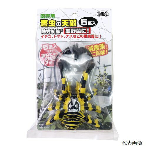 高芝ギムネ製作所 M-53 園芸用 除労蜘蛛 5匹入