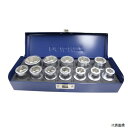 13282 1/2DR ボルトリムーバーソケットセット (12PCS) SIGNET シグネット