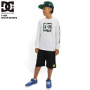 DC SHOE fB[V[ LbY iC V[c 130-150cm 18 KIDS NYLON SHORTS BLK