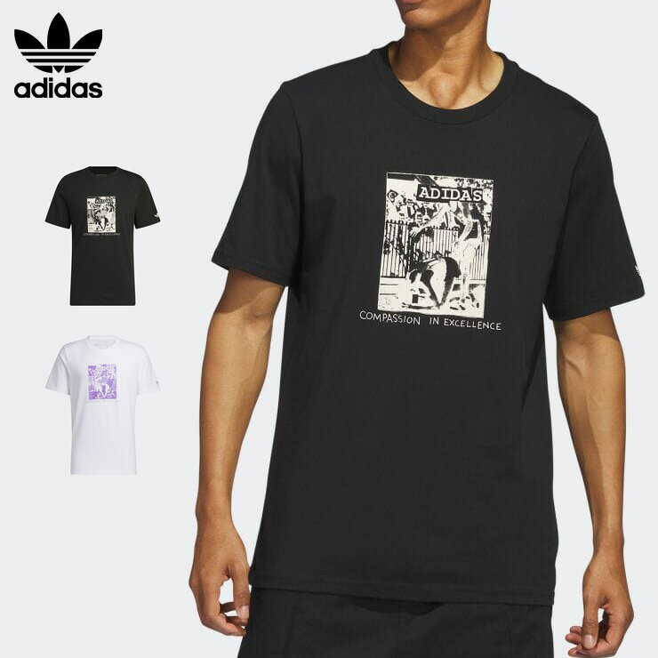 ADIDAS アディダス Tシャツ TEE 半袖Tシャツ カットソー ディル コンパッション スケードボーディング ロゴ