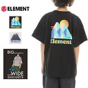 ELEMENT エレメント ユース キッズ Tシャツ クルーネック カットソー TEE ティーシャツ YT HILLS
