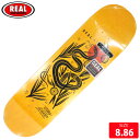 XP{[ fbL A REAL WILKINS MUDGETT DECK SIZE 8.86 XP[g{[h SKATEBOARD 23SM