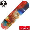 スケボー デッキ ドーカス DORCUS FOREVER ZETT SKATEDECK DECK SIZE 7.25-8.0 スケートボード SKATEBOARD 23SM