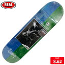 スケボー デッキ リアル REAL WILKINSBRIGHTSIDE DECK SIZE 8.62 スケートボード SKATEBOARD 24SM