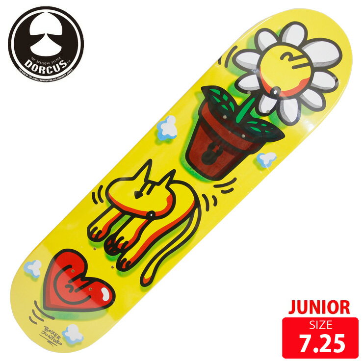 ジュニア スケボー デッキ ドーカス DORCUS BOXER JUNTARO INVITATION KIDS DECK SIZE 7.25 スケートボード SKATEBOARD 24SM