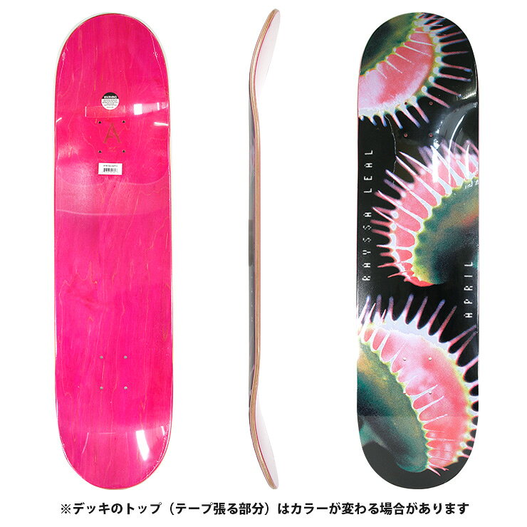 QUESTONS -クエストン-のエイプリル スケボー デッキ APIL RAYSSA LEAL SNAPPY DECK SIZE 8.0 スケートボード skateboard スケートボード 26SM｜アングル2