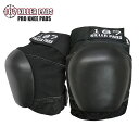 187 KILLER PADS プロテクター プロ ニーパッド ヒザ 大人 子供 防具 スケートボード スポーツ 脱着可能 軽量 速乾 PRO KNEE PAD...