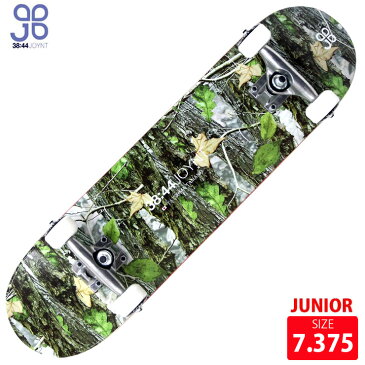 ジョイント ジュニア コンプリート PATTERN KIDS COMPLETE TATSUMA TAMANO SIZE 7.375 スケボー 完成品 スケートボード コンプリ skateboard