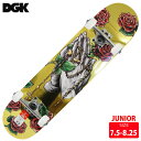 DGK ディージーケー コンプリートデッキ BLESSED DECK SIZE 7.5 7.75 8.0 8.25 スケートボード 完成品 組み立て済 スケボー