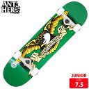 スケボー ジュニア コンプリート アンチヒーロー ANTI HERO CLASSIC EAGLE SIZE 7.5 完成品 スケートボード 25SM