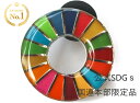 【正規販売店】 【国連本部限定販売】 SDGs ピンバッジ 日本未発売 UNDP 丸みタイプ 1個 バッチ 国連 おすすめ 正規品 sdgs 17 目標 公式 【安心保証付き】