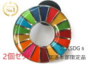 【正規販売店】 【国連本部限定販売】 SDGs ピンバッジ 日本未発売 UNDP