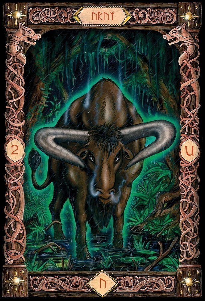 【正規販売店】 【安心保証】 US Games Systems Power of the Runes Deck パワーオ...