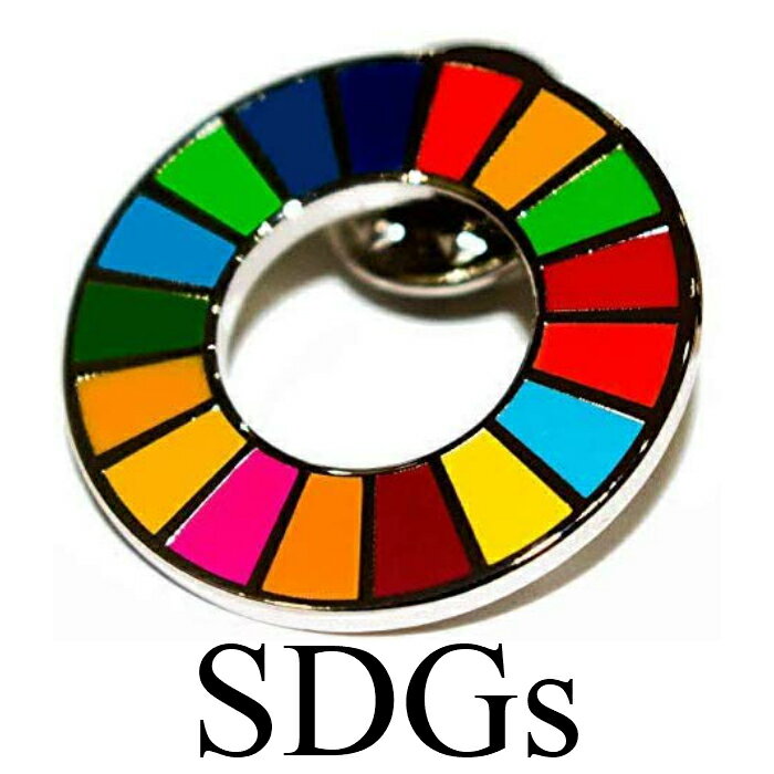想像を超えての （国連ブックショップ購入・送料無料）SDGs  15個（11330円税込）（新品未使用）(ラバークラスプ素材)（保存小分袋1枚付）UN80 ピンバッジ - コレクション、趣味 -  www.comisariatolosandes.com
