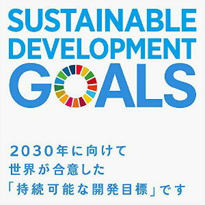 【正規販売店】 SDGs 国連 17色 ピンバ...の紹介画像3