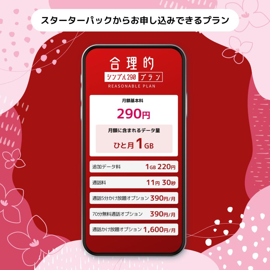 日本通信　日本通信SIMスターターパック　NT-ST2-P（ドコモネットワーク / SIMカードは申込後に配送）※申し込み有効期限：2025年6月末日まで