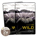 【 2袋セット 】 やずや にんにく卵黄WILD 62球 サプリメント マカ 亜鉛 にんにく 滋養 スタミナ ミネラル メール便送料無料SPL / にんにく卵黄...