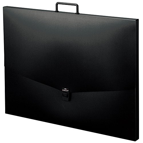 セキセイ ドキュメントファイル アルタートケース A2 ブラック ART-900