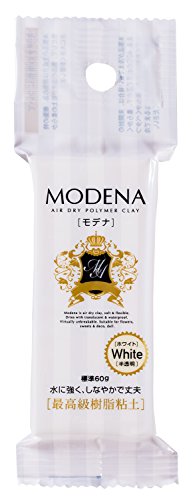 パジコ 樹脂粘土 モデナホワイト 60g 白 日本製 303117