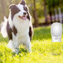 350ML ペット同伴ウォーターカップ 犬 ケトル 犬 アウトドア ポータブル 旅行 飲料水 漏れ防止 高温耐性 猫用飲料ボトル ウォーキング 猫と犬のトレーニ...