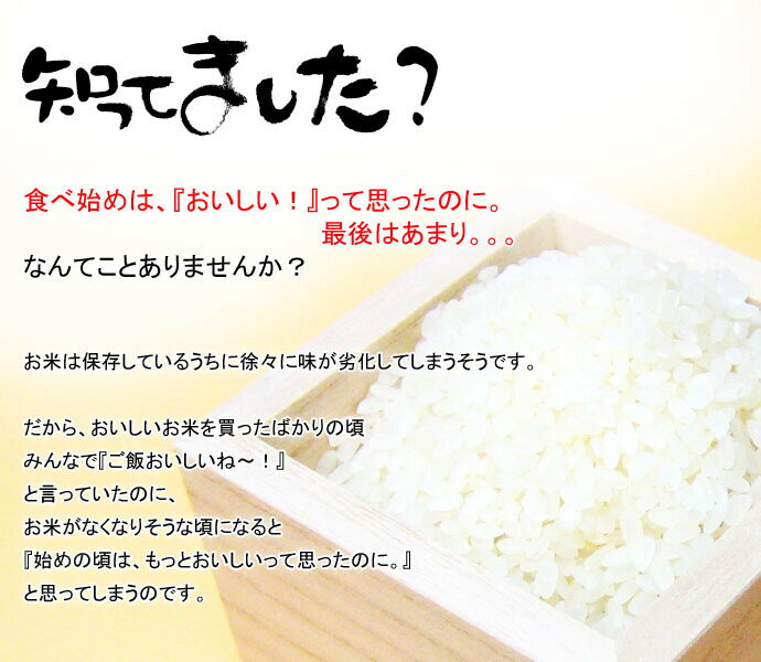 桐製米びつ 10kgサイズ 無地 キャスター付 縦長型 米櫃 留河 泉州留河 米櫃 スリム おしゃれ こめびつ 保存容器 ボックス キッチン 新築祝い 高級感 3