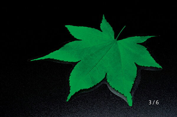 クリアシート 青もみじ(200枚入) 型抜きクリアシート キッチン 日本製 料理演出 和食料理 旅館 飲食店 ホテル