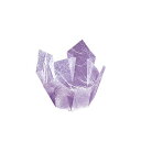 藤雲竜 小 (200入) 両面OP珍味入 樹脂カップ 容器 キッチン 日本製 料理演出 和食料理 飲食店 ホテル 旅館 国産 お祝い 高級感 お正月 和食 和モダン 業務用 おしゃれ お節