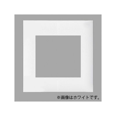 パナソニック 簡易耐火用コンセントプレート 2連接穴用 スクエア ベージュ WTF8570F