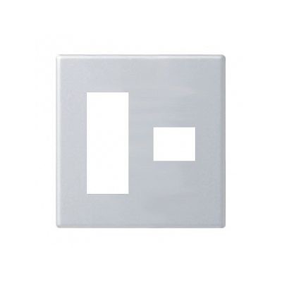 パナソニック 新金属コンセントプレート2型 2連用 4コ（3コ＋1コ）用 WTF9274