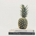 【アートデリ】パイナップルのファブリックパネル インテリア雑貨 キャンバス Sサイズ(15cm×15cm) ウォールアート 壁掛け おしゃれ 北欧 モダン 新築祝い 開店祝い 結婚祝い お洒落 玄関 寝室 リビング 応接室(3)