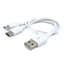 日本トラストテクノロジー microUSB&TypeC 2台同時充電対応ケーブル (ホワイト) JSC-010WH(2)