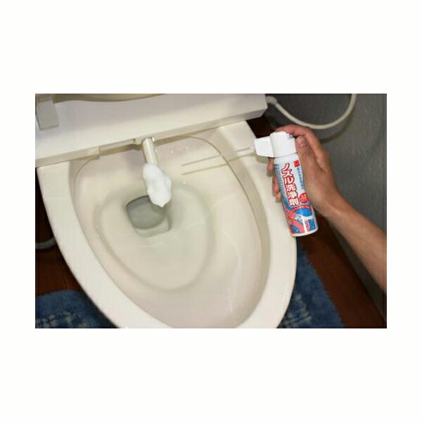 送料無料 温水洗浄便座 トイレのノズル洗浄剤 2