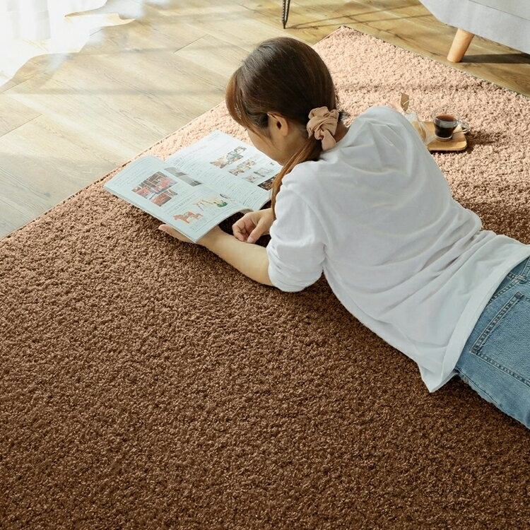 130x190cm ジェム ブラウントパーズ ラグ マット リビングラグ 防炎 防ダニ 抗菌 防臭 洗える オールシーズン おしゃれ ホットカーペット 床暖房 高級感