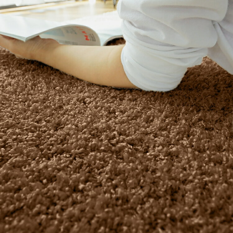 130x190cm ジェム ブラウントパーズ ラグ マット リビングラグ 防炎 防ダニ 抗菌 防臭 洗える オールシーズン おしゃれ ホットカーペット 床暖房 高級感