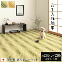 洗える ござ 日本製 国産 カーペット 本間4.5畳(約286.5×286cm) 丈夫 除菌スプレー対応 敷詰 ラグ 敷物 アウトドア レジャー ペット 正方形 マット リビング 上敷きカーペット おしゃれ シンプル 和風 PPカーペット ダイニングラグ