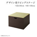 送料無料 日本製 収納付きデザイン畳リビングステージ そよ風 そよかぜ 畳ボックス収納 60×60cm ロータイプ 小上がり おしゃれ モダン 断熱性 保温効果