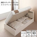 送料無料 収納付き コンセント ベッド ベット 棚付き マット付き 宮付き 大容量 収納ベッド セミダブル フレーム マットレス セミダブルベッド ホワイト 白 ブラウン 茶 Grand L グランド・エル 薄型スタンダードボンネルコイルマットレス付き 組立設置付 横開き 500031028(3)