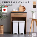 日本製 特殊鋼板を使ったキッチンカウンター【Lugo-ルゴ-】ゴミ箱上カウンター 60cm