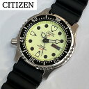 シチズン プロマスター 腕時計（メンズ） CITIZEN シチズン PROMASTER プロマスター NY0040-09W メンズ 腕時計 ダイバーズウォッチ 自動巻き 蓄光 ブラック ウレタンバンド