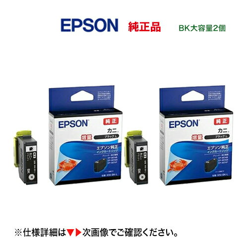【ネコポス便】【2個セット】 EPSON