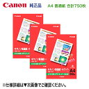 【合計750枚】 キヤノン 純正 A4 普通紙 ホワイト 250枚×3セット (SW-101A4) 6614A001 【送料無料】 ★注意:代引不可