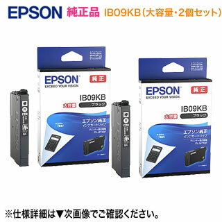 【純正品 2個セット】 EPSON／エプソ