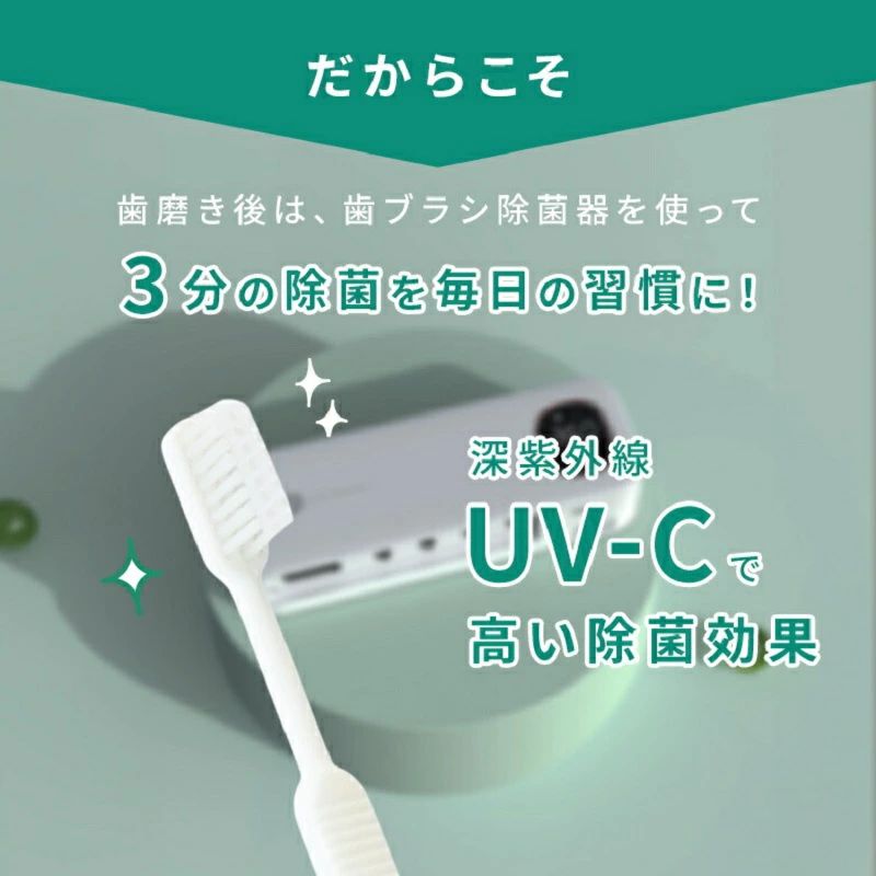 歯ブラシ除菌器 壁掛け 充電式 UV-C除菌 スピード乾燥 T字カミソリ 穴あけ不要 カビ防止 洗面所 衛生
