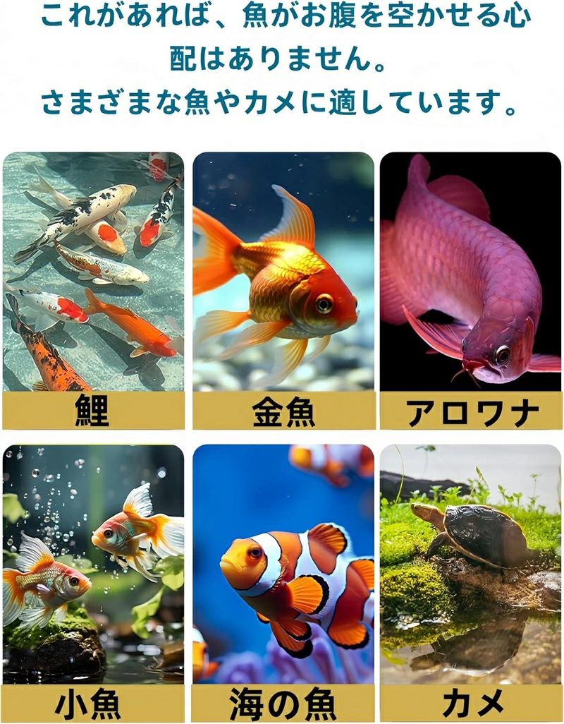 ��ư��´� ��ư����´� �ߥ˱������ ��ư��´� �� �¤��� ��ư�¤�굡 ������ ��ư����� �������ȥ����ߥ� ���ѵ�´� �ɼ����� ��ưǮ�ӵ� ��²�ۻ��� ��� �� ι�ԥס��� ��ĥ �����ѿ���