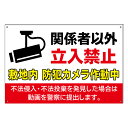 【関係者以外 立入禁止 敷地内 防犯カメラ作動中 不法侵入 不法投棄禁止 立ち入り禁止 防犯 24時間 看板】禁止看板　プレート看板　屋..