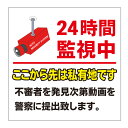 【私有地 24時間監視中 通り抜け禁止 私有地につき 私道 立ち入り禁止 立入禁止 進入禁止 防犯カメラ作動中 監視カメラ 敷地内 関係者外 看板】屋外 防水 プレート 板 プレート看板 プレートタイプ ステッカー シール サイン 表示 フェンス 柵 標示 注意 禁止 警告